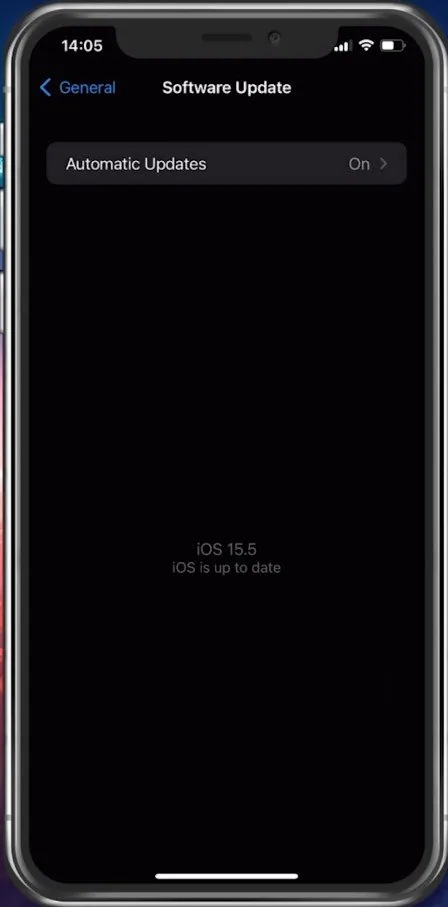 iPhone Settings > General > Software Update