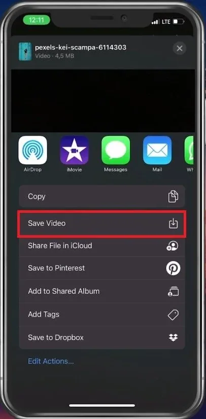 Video Options > Save Video