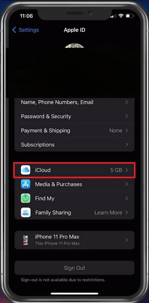 iPhone Settings > Apple ID > iCloud