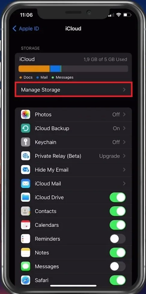 iCloud > Manage Storage