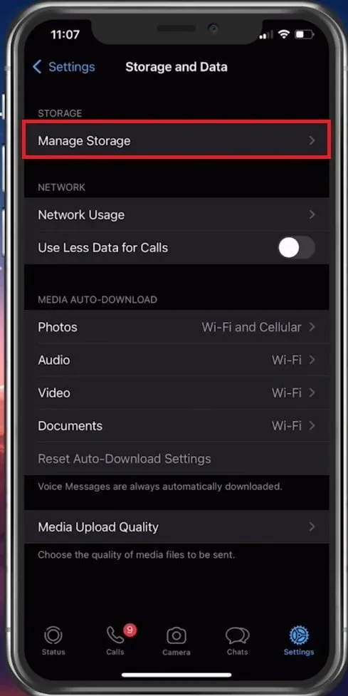WhatsApp Settings > Storage and Data