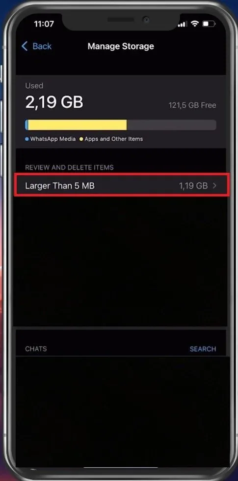 Manage WhatsApp Storage Usage