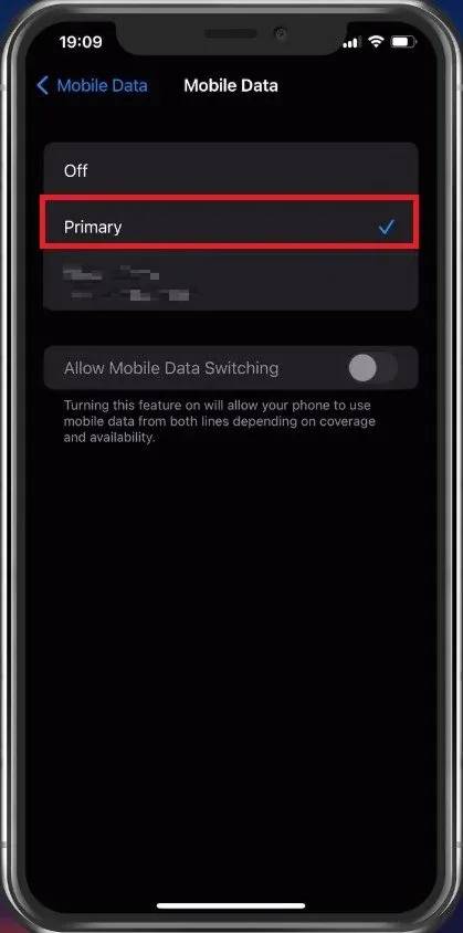 iPhone Settings > Mobile Data > Primary