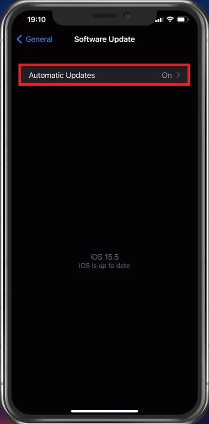 iPhone Settings > General > Software Update
