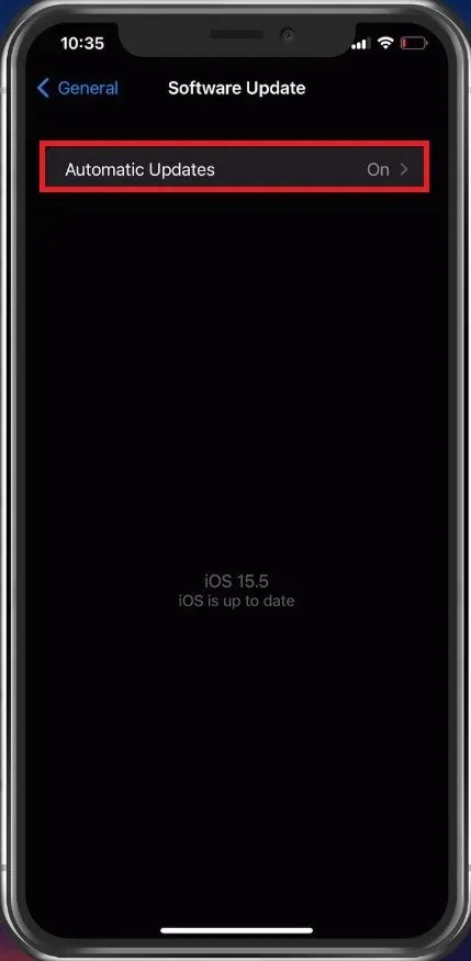 iPhone Settings > General > Software Update
