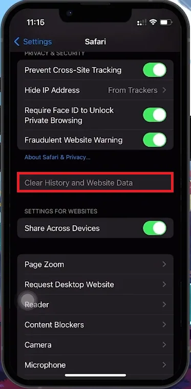 clear safari cache