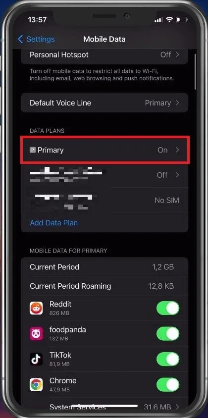 Enable your primary data plan