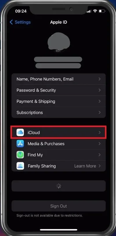iPhone Settings > Apple ID > iCloud