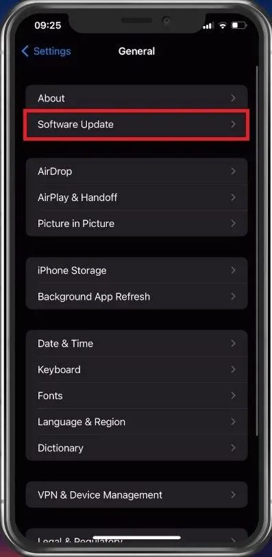 iPhone Settings > General > Software Update