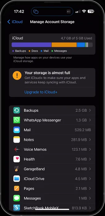 iCloud Settings > Manage Account Storage