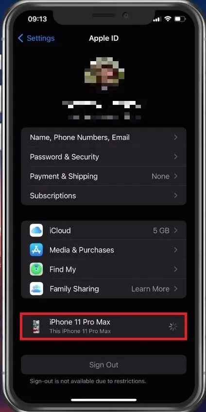 iPhone Settings > Apple ID > Your Device