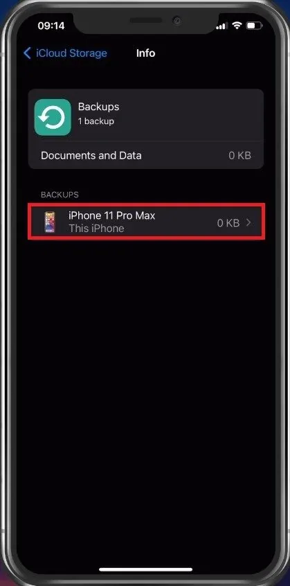 iCloud Storage > Info > Backups