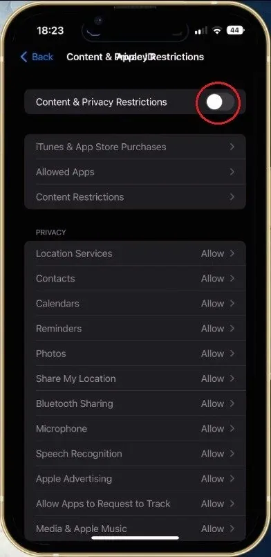 iPhone Settings > Screen Time > Content & Privacy Restrictions
