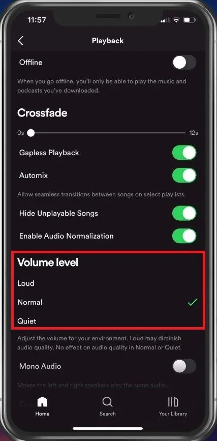 Spotify Settings > Playback > Volume Level