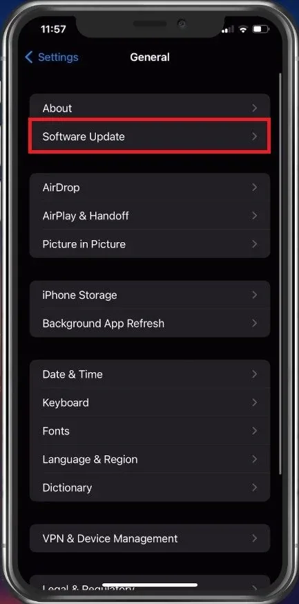 iPhone Settings > General > Software Update