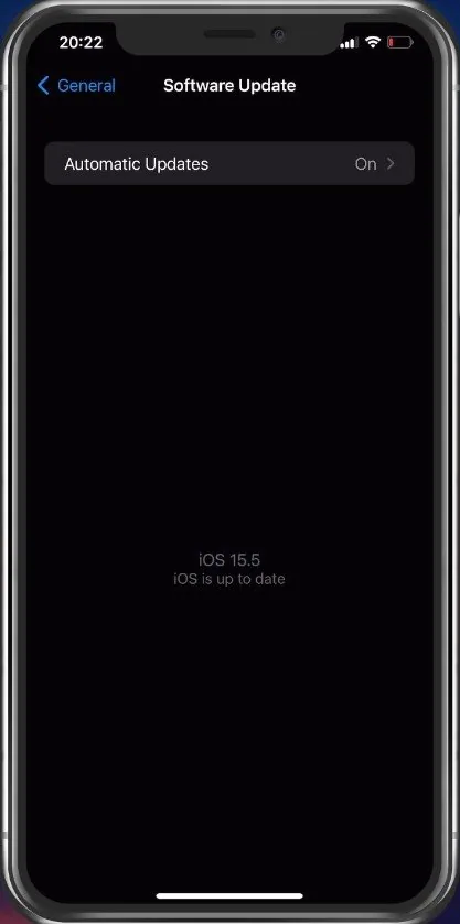 iPhone Settings > General > Software Update