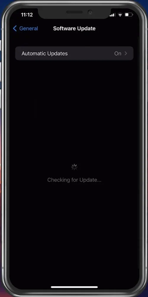 iPhone Settings > General > Software Update