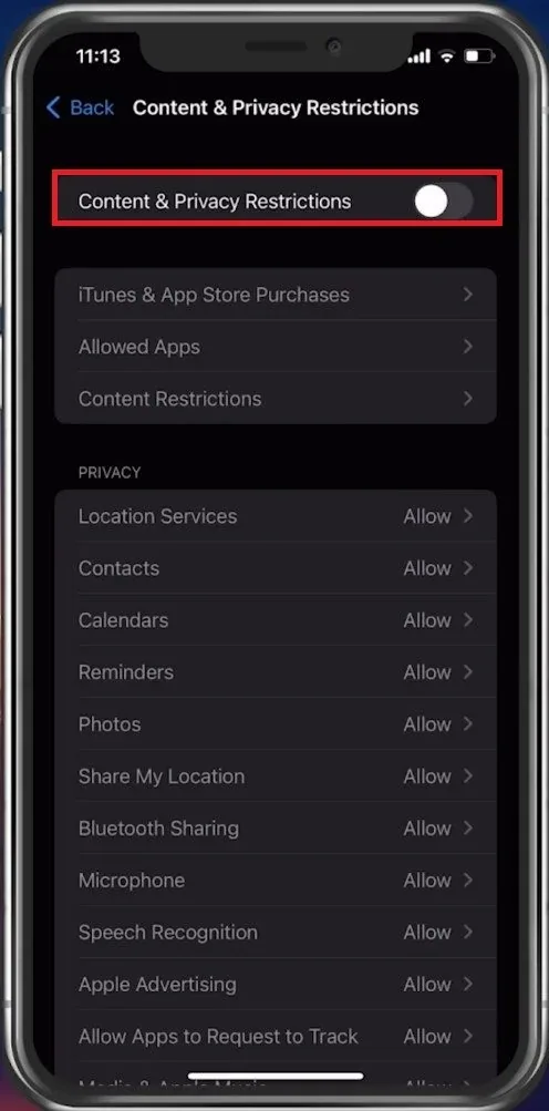 Disable Content & Privacy Restrictions