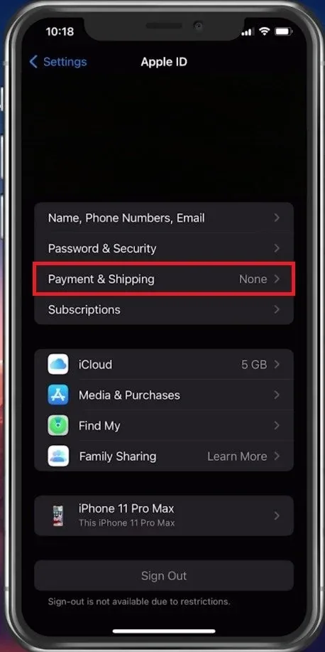 iPhone Settings > Apple ID > Payment & Shipping