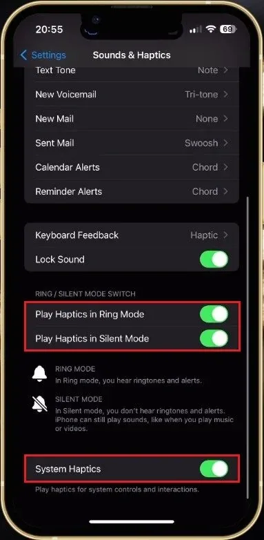 iPhone Settings > Sounds & Haptics