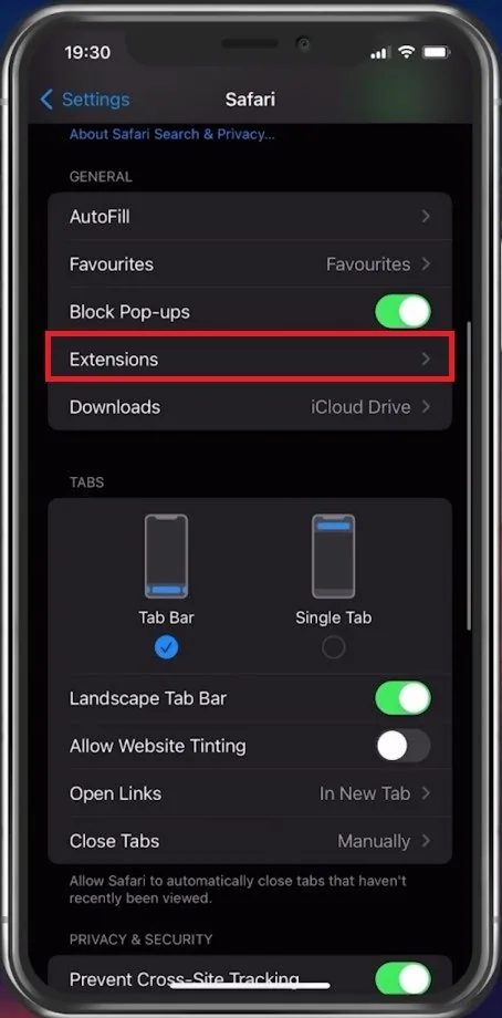 iPhone Settings > Safari > Extensions
