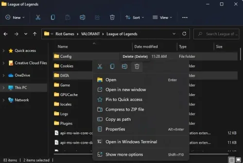 delete config and data folders.jpg