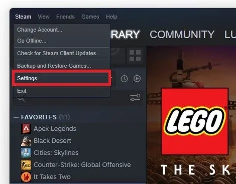 Steam Settings