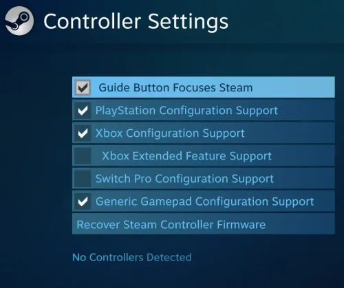 Steam Big Picture > Controller Settings