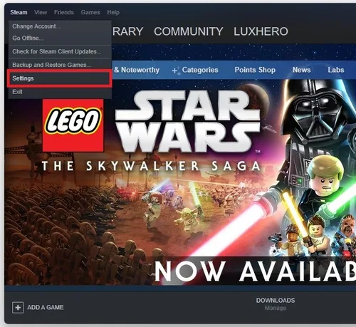 Steam > Settings