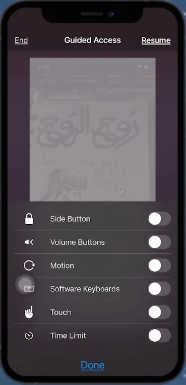 guided access options