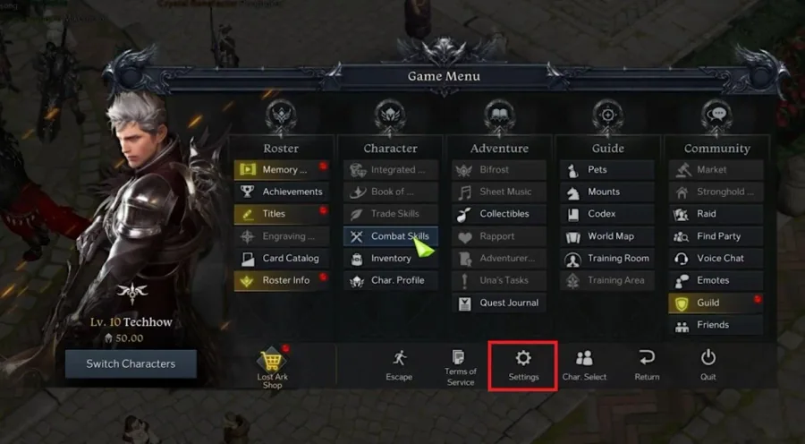 Lost Ark > Settings
