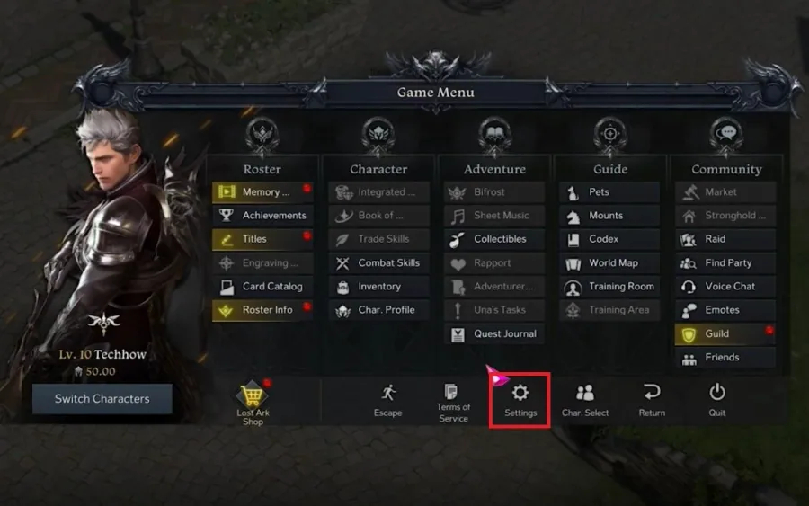 Lost Ark > Settings