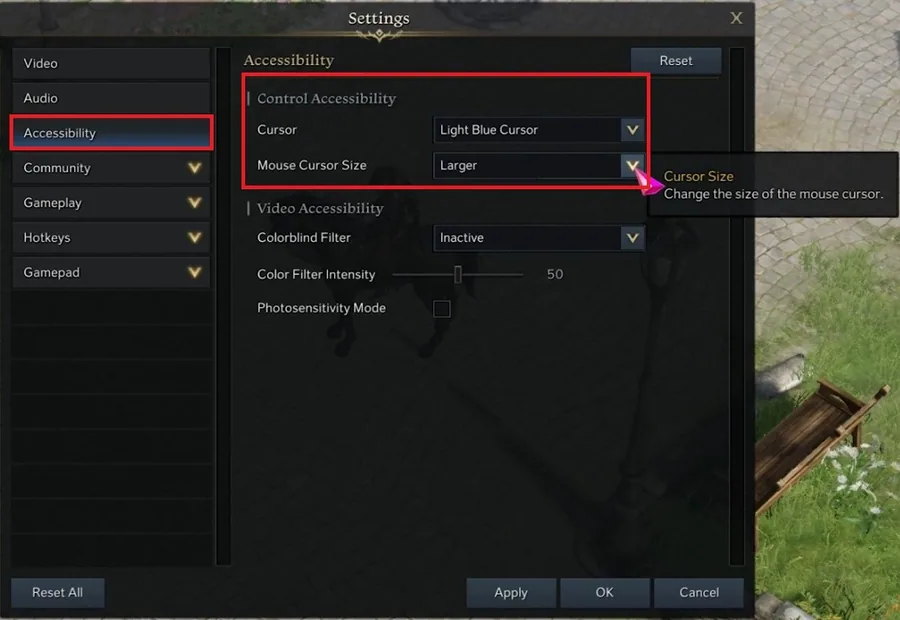 Lost Ark Settings > Accessibility