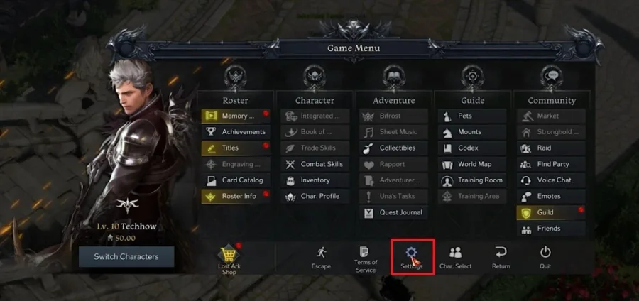Lost Ark > Settings