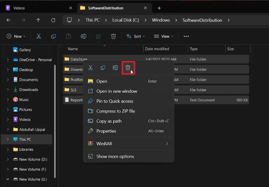 delete software distribution files