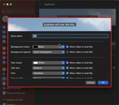 Adjust Subtitles Style