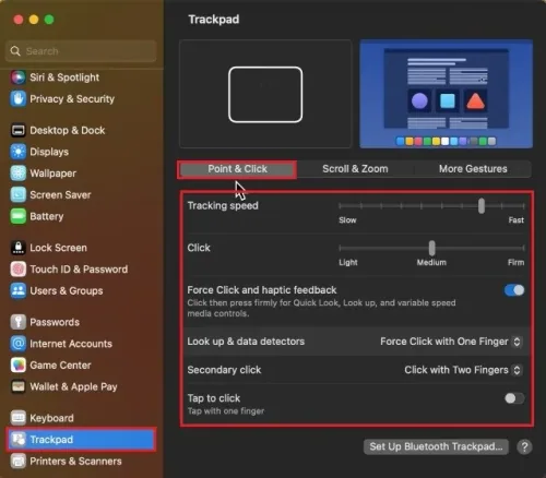 System Settings > Trackpad