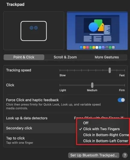 System Settings > Trackpad