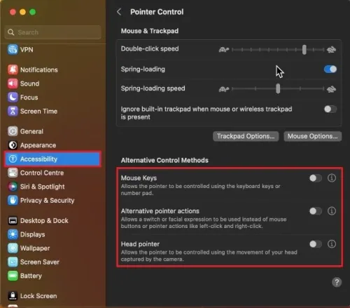 System Settings > Accessibility > Pointer Control