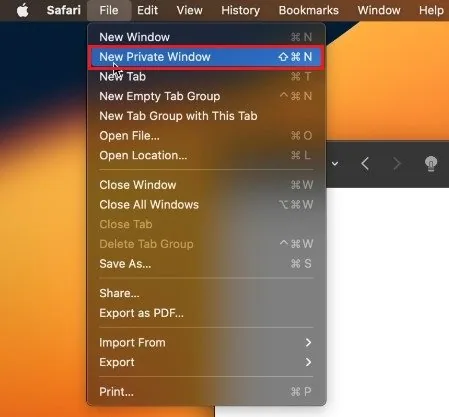 Safari > File > New Private Window