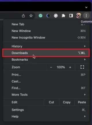 Google Chrome > Downloads