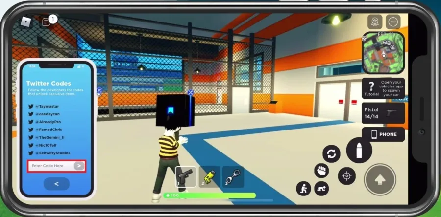 Codes field in the Mad City phone menu