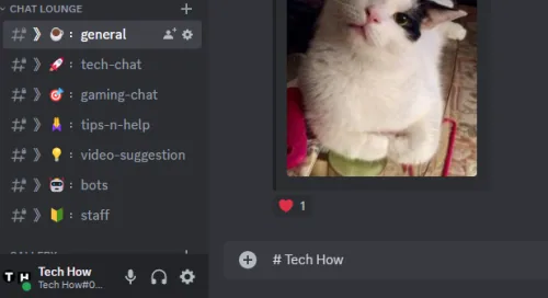 Large header text in a Discord message