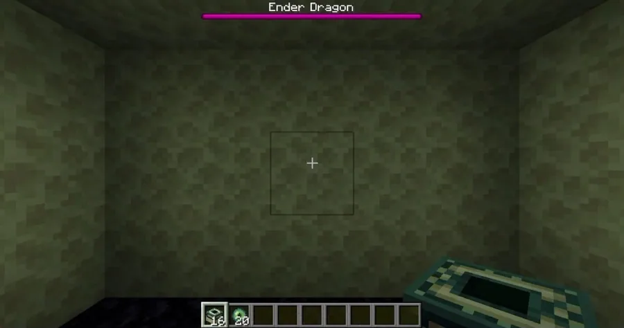 face the ender dragon
