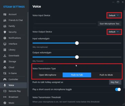 steam voice settings