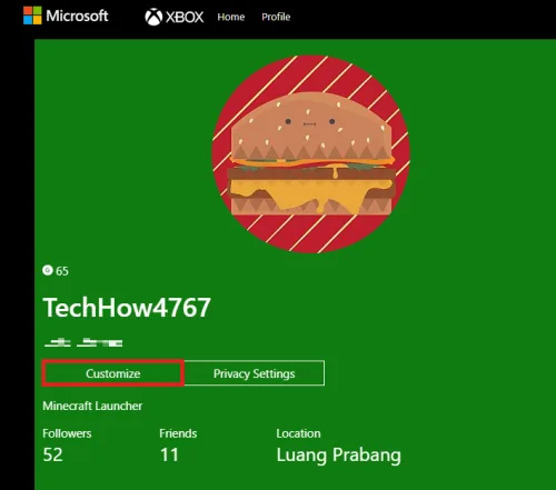 customize your minecraft username