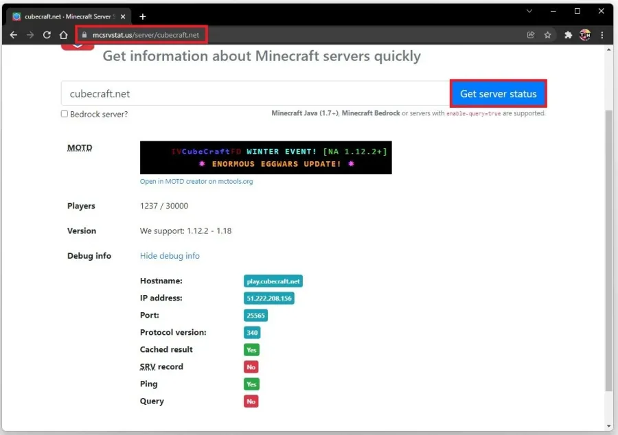 Enter the Minecraft server IP