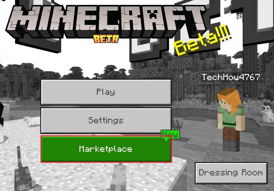 Minecraft > Marketplace
