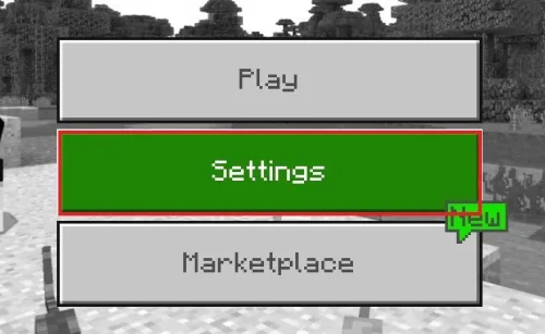 Minecraft > Settings