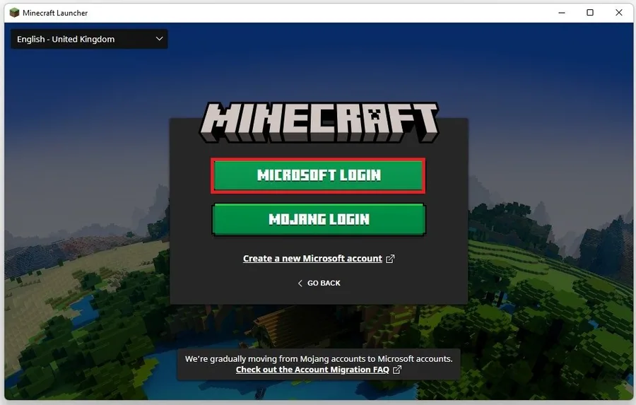 Minecraft Launcher > Microsoft Login